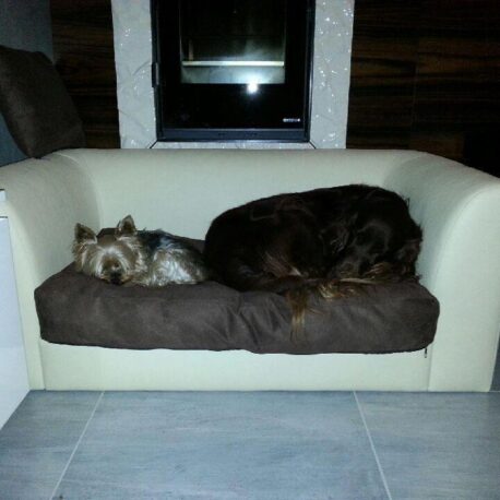 sofas- para- perros -toffy