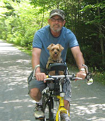 Silla de perro para bicicleta