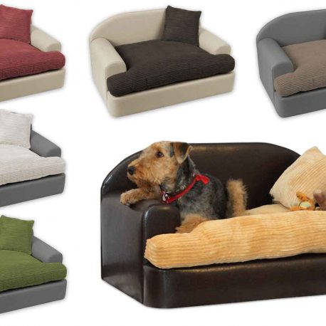 sofa borys para perros