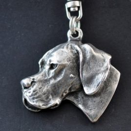 Llavero Pointer